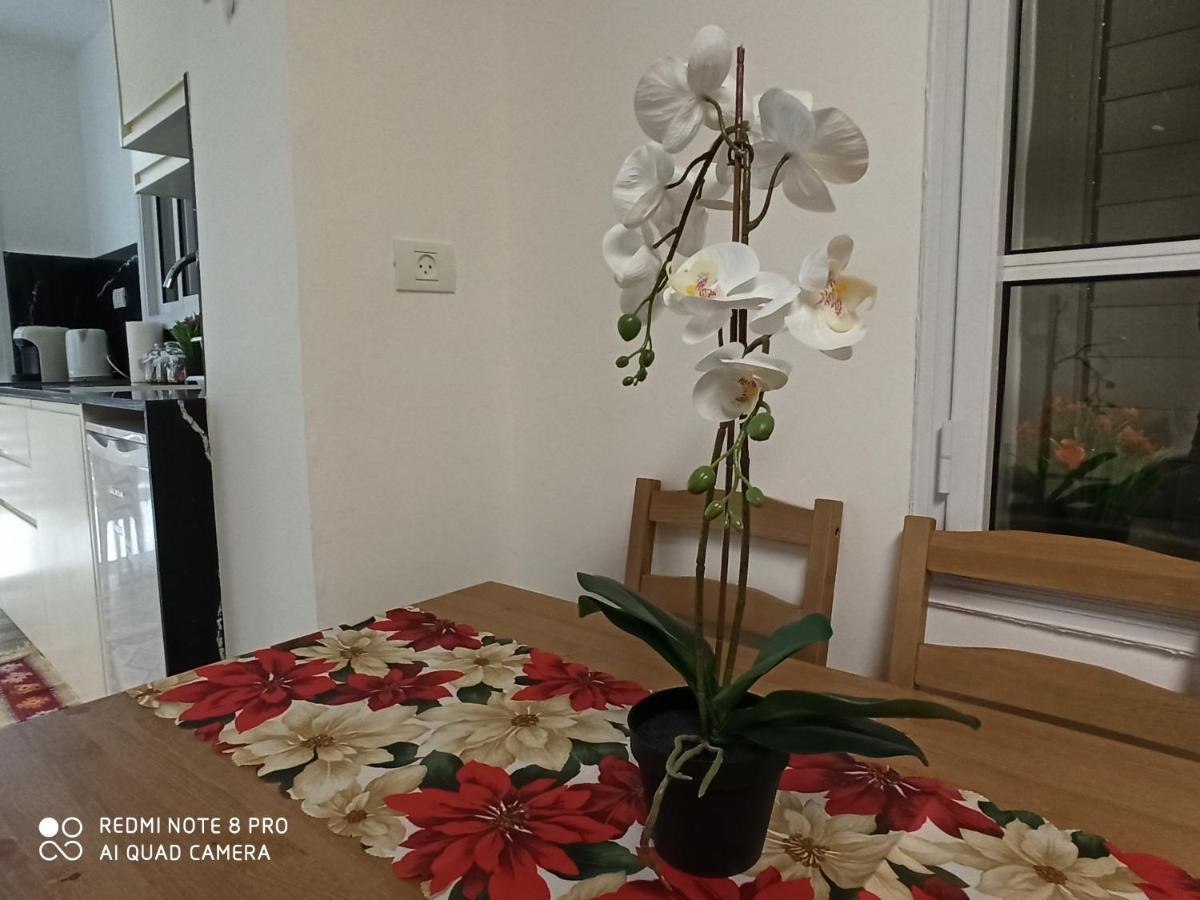Boutique 22 Guest Rooms Haifa Exteriér fotografie